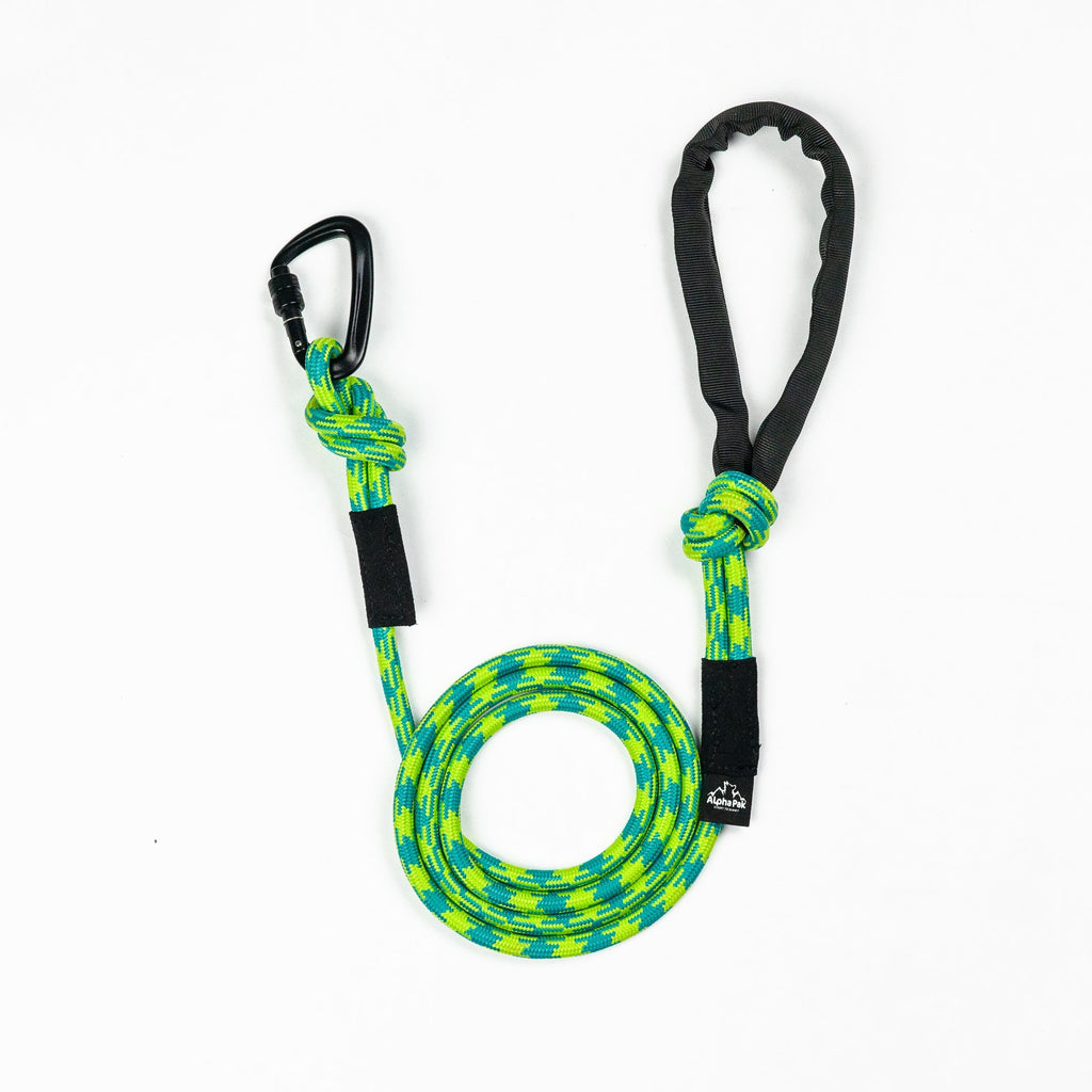 10MM Adventure Kernmantle Rope Dog Leash